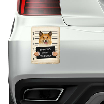 Icelandic Sheepdog Mugshot Bad Dog Fridge refrigerator Car Magnet