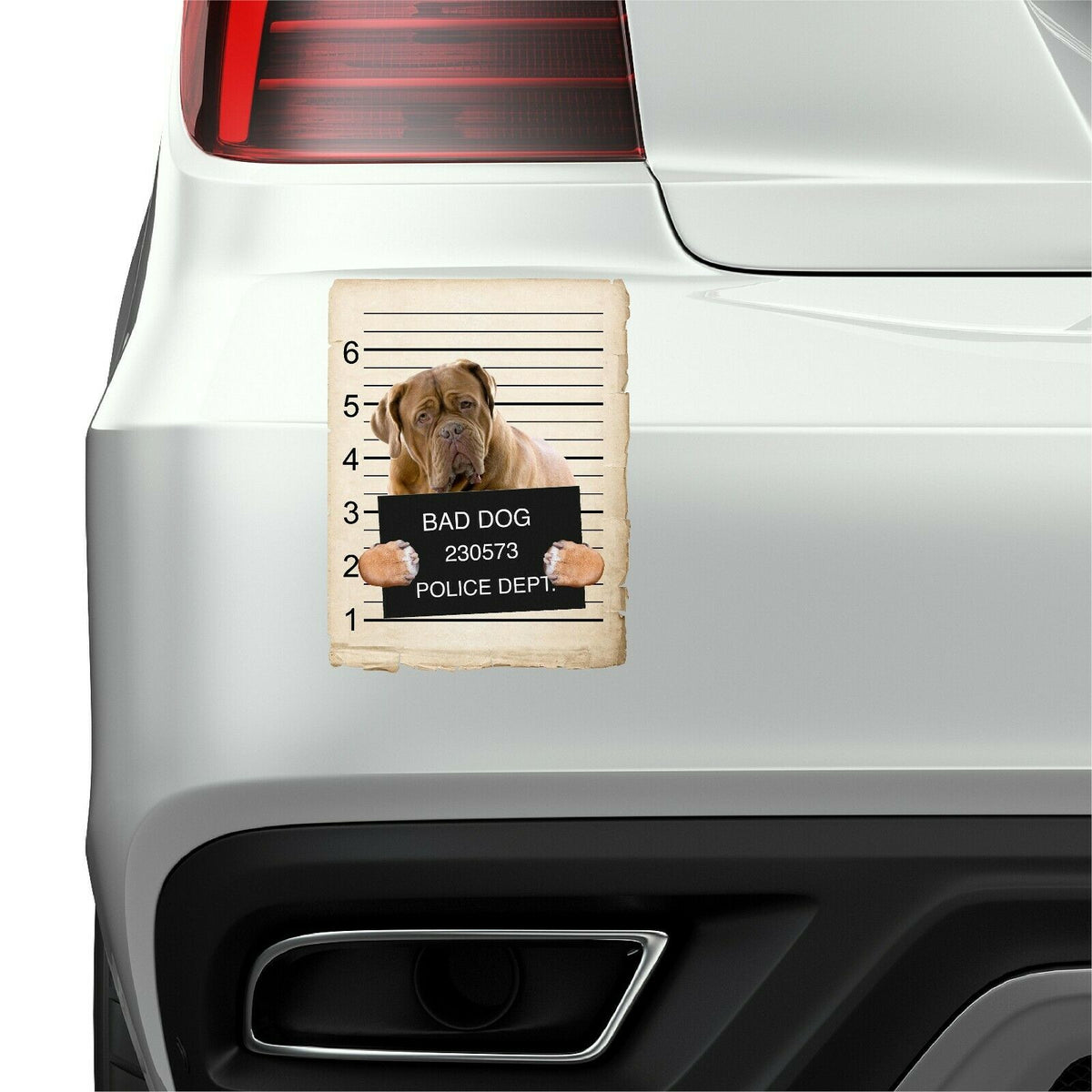 Bull Mastiff Mugshot Bad Dog Fridge refrigerator Car Magnet
