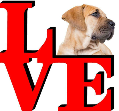 Boerboel Dog Love Park Cute Dog Fridge Refrigerator Car Magnet