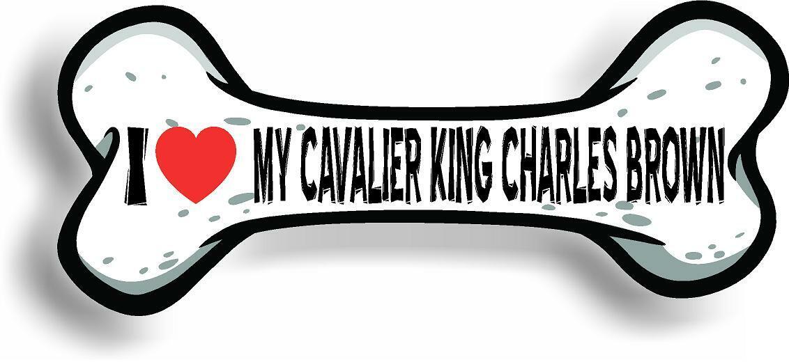 I Love My Cavalier King Charles Brown Car Magnet Bumper Sticker 3"x7"