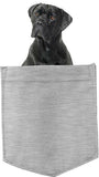 Cane Corso Dog in pocket Fridge Car Magnet Bumper Sticker App size 4"x7"