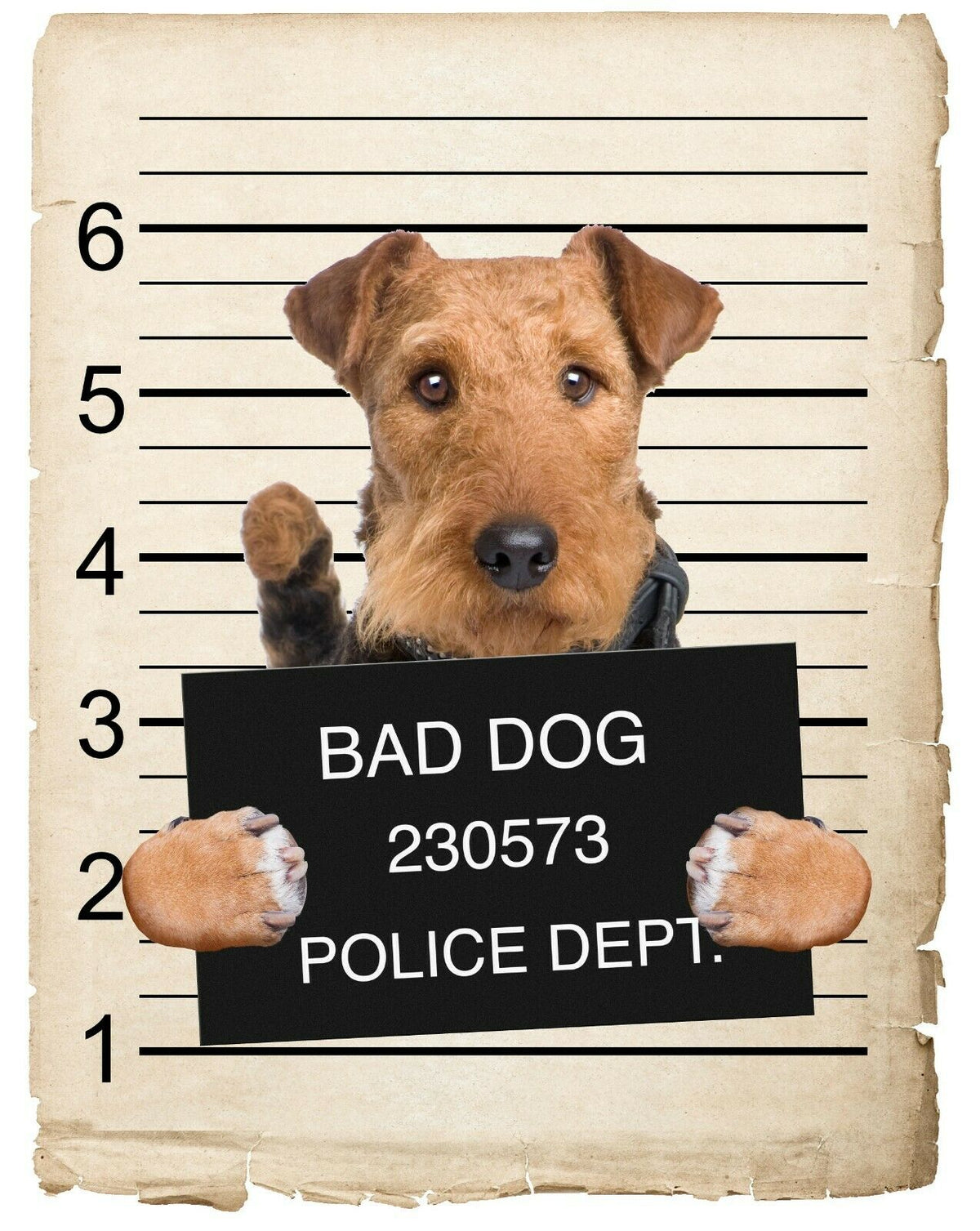 Airedale Terrier Mugshot Bad Dog Fridge refrigerator Car Magnet Bumper Sticker