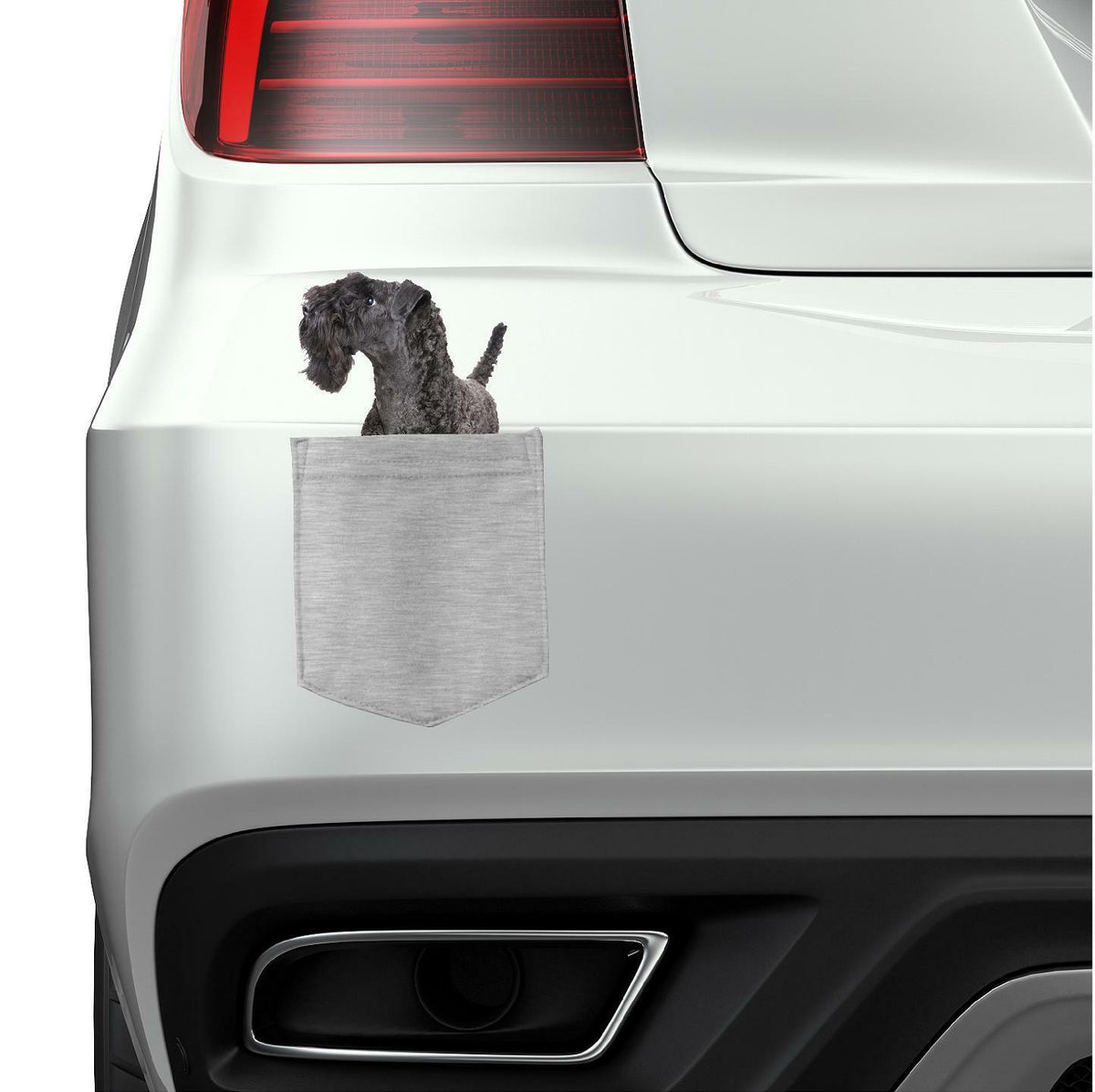 Kerry Blue Terrier Dog in pocket Fridge Car Magnet Bumper Sticker App size 4"x7"
