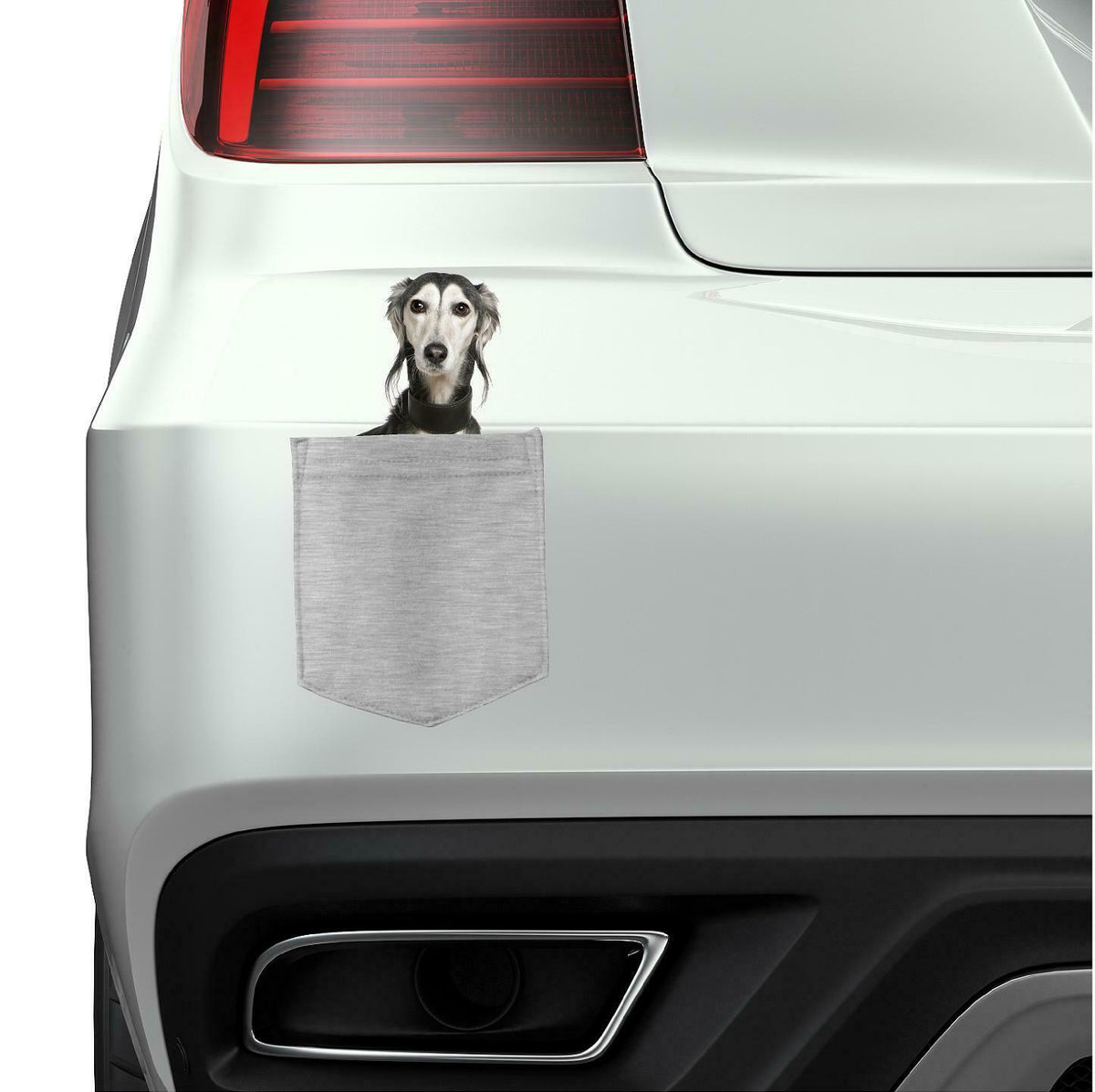 Saluki Dog in pocket Fridge Car Magnet Bumper Sticker App size 4"x7"