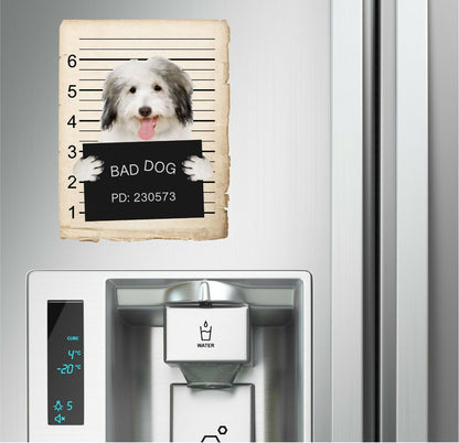 Coton De Tulear Mugshot Bad Dog Fridge refrigerator Car Magnet