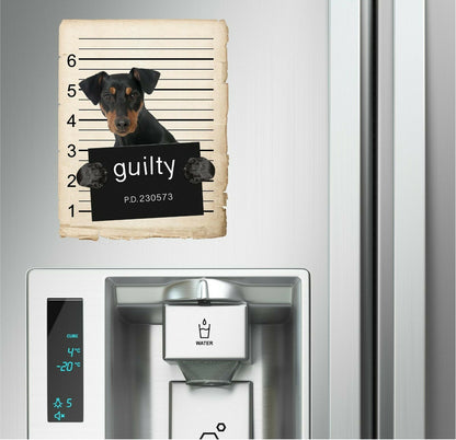 German Pinscher Mugshot Bad Dog Fridge refrigerator Car Magnet
