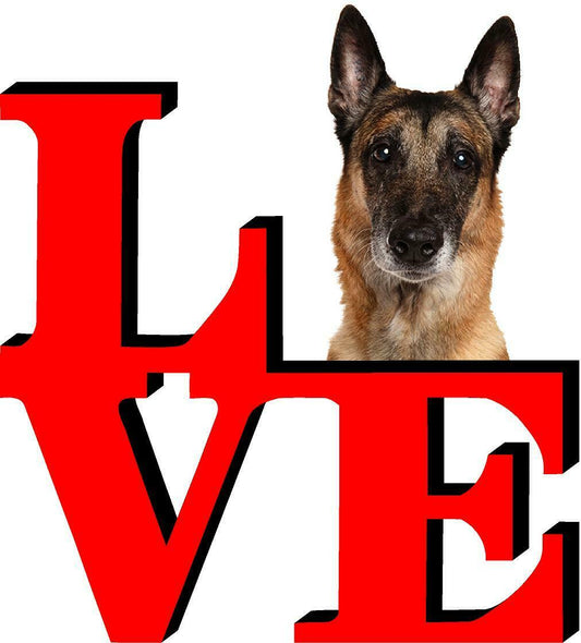 Belgian Malinoi Love Park Cute Dog Fridge Refrigerator Car Magnet