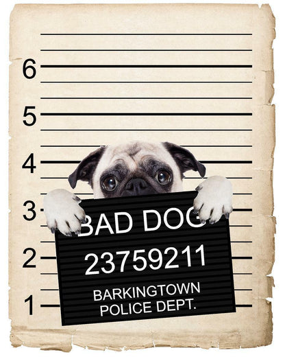 Pug Puppy Mugshot Bad Dog Fridge refrigerator Car Magnet