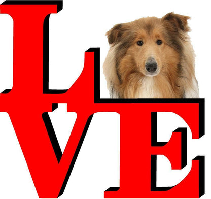 Collie Dog Love Park Dog Fridge Refrigerator Car Magnet