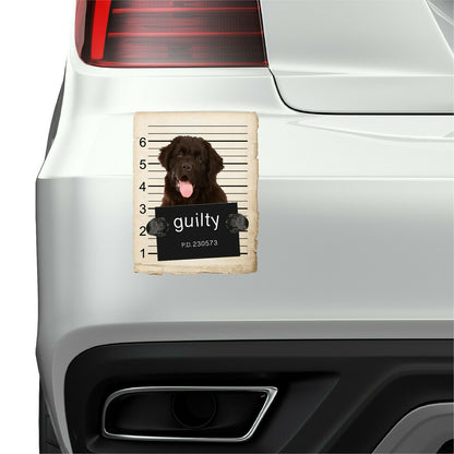 Newfoundland Mugshot Bad Dog Fridge refrigerator Car Magnet