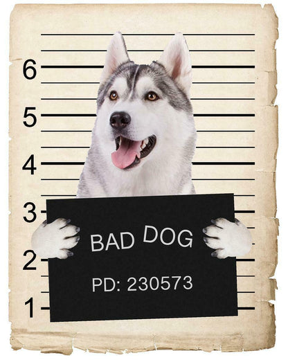 Siberian Huskey Mugshot Bad Dog Fridge refrigerator Car Magnet