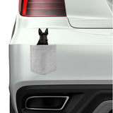 Scottish Terrier Dog in pocket Fridge Car Magnet Bumper Sticker App size 4"x7"