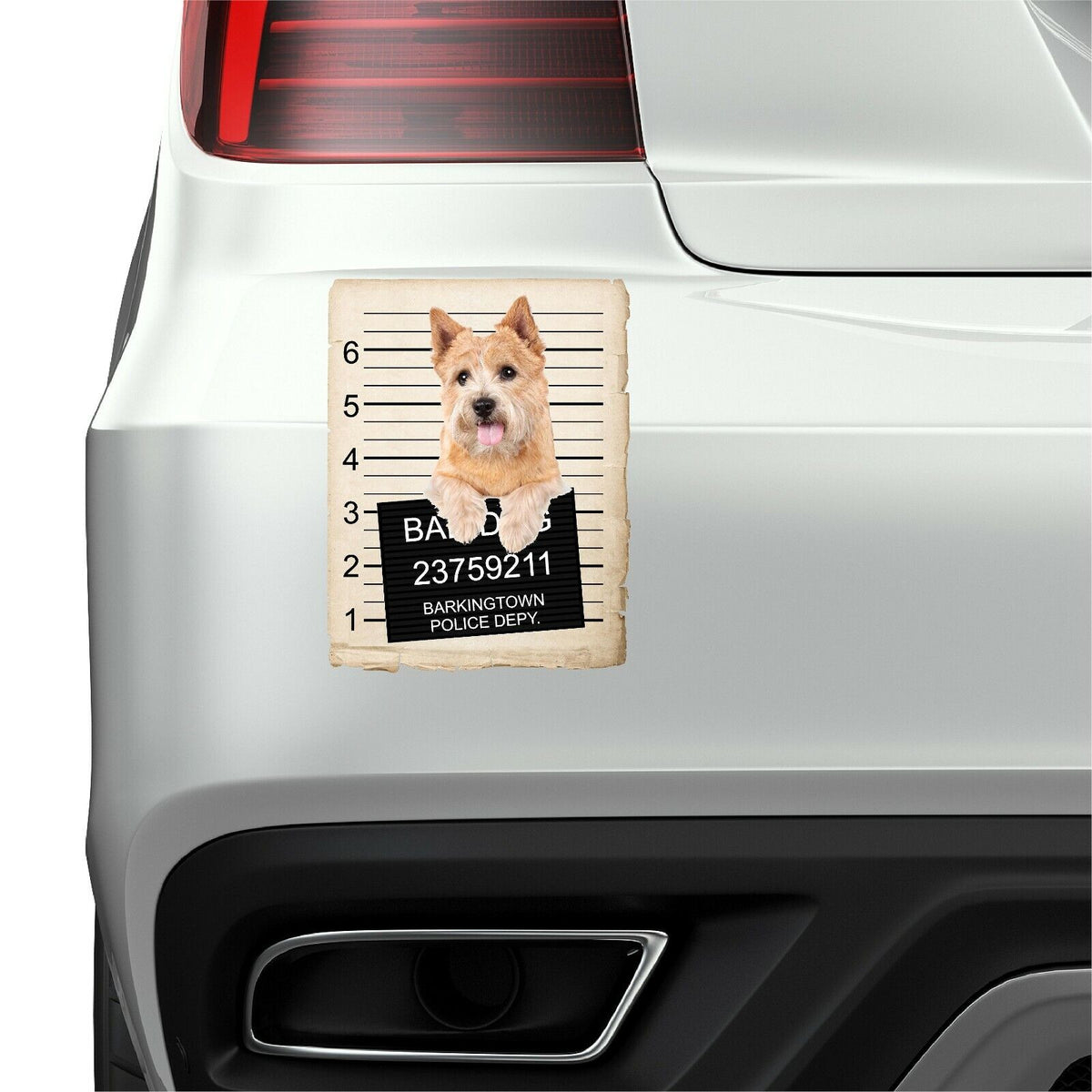 Norwich Terrier Mugshot Bad Dog Fridge refrigerator Car Magnet