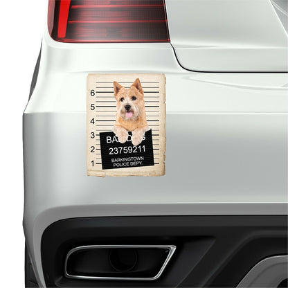 Norwich Terrier Mugshot Bad Dog Fridge refrigerator Car Magnet