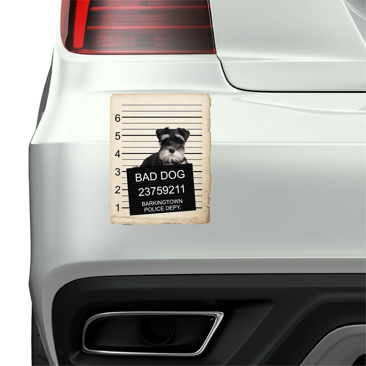 Miniature Schnauzer Mugshot Bad Dog Fridge refrigerator Car Magnet