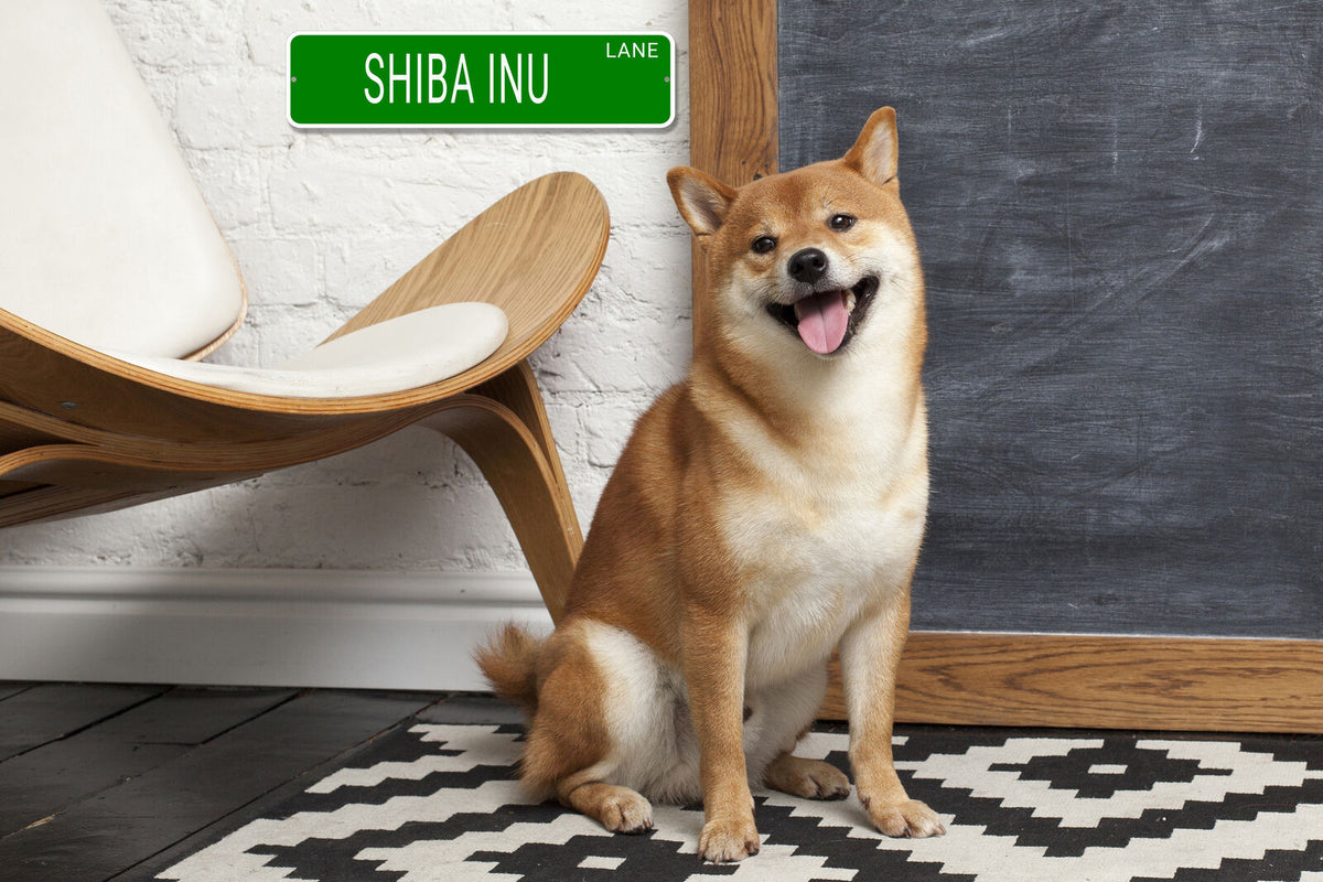 LABRADOR LANE 24"x6 ALUM COMPOSITE SIGN