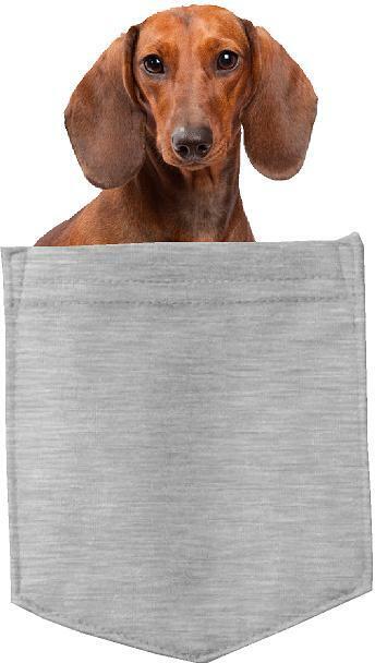 Dachshund Dog in pocket Fridge Car Magnet Bumper Sticker App size 4"x7"