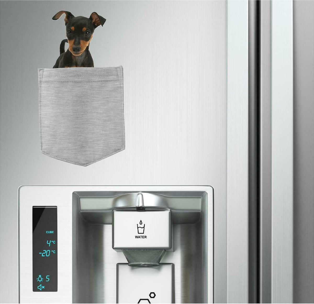 Miniature Pincher Dog in pocket Fridge Car Magnet Bumper Sticker App size 4"x7"