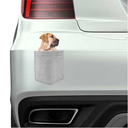 Booerboel in pocket Fridge Car Magnet Bumper Sticker App size 4"x7"