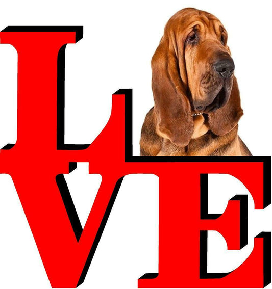 Bloodhound Dog Love Park Cute Dog Fridge Refrigerator Car Magnet