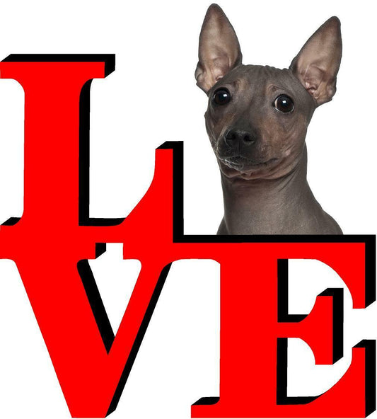 American Hairless Terrier Love Park Cute Dog Fridge Refrigerator Car Magnet