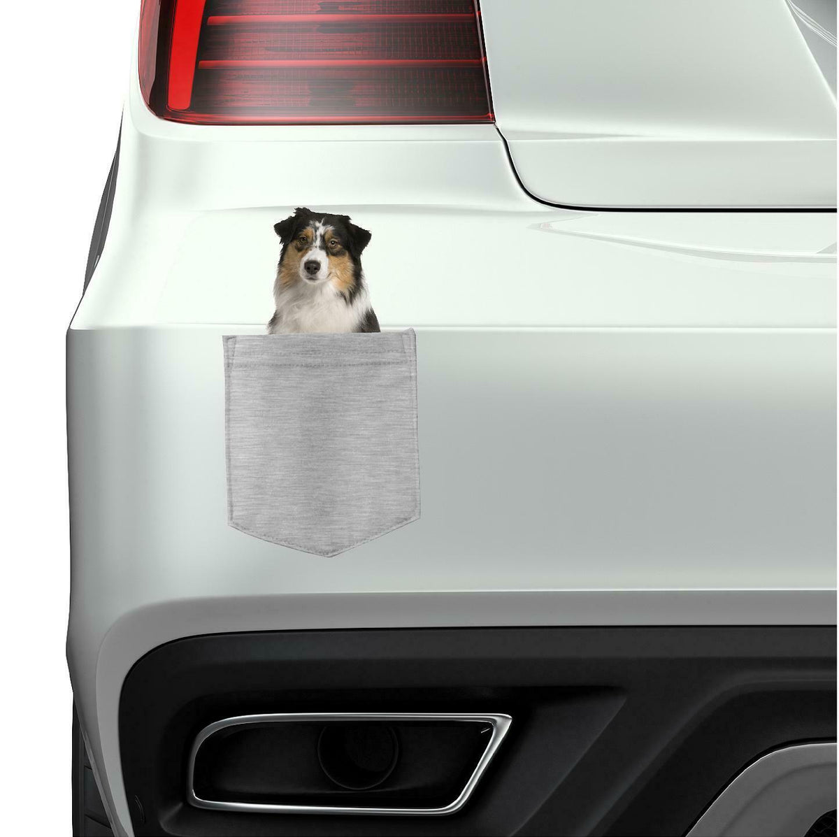 Australian Shepard in pocket Fridge Car Magnet Bumper Sticker App size 4"x7"