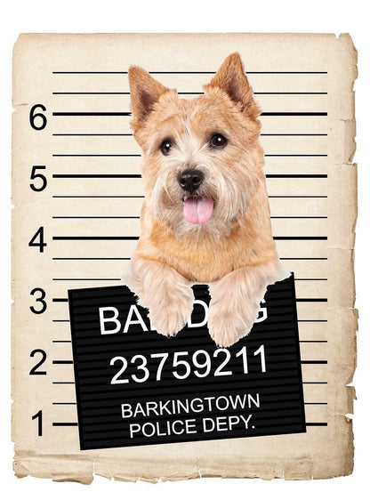 Norwich Terrier Mugshot Bad Dog Fridge refrigerator Car Magnet