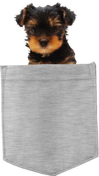 Yorkshire Terrier Dog in pocket Fridge Car Magnet Bumper Sticker App size 4"x7"