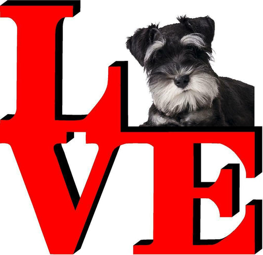 Miniature Schnauzer Love Park Cute Dog Fridge Refrigerator Car Magnet