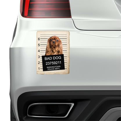 Cavalier King Charles Spaniel Mugshot Bad Dog Fridge refrigerator Car Magnet