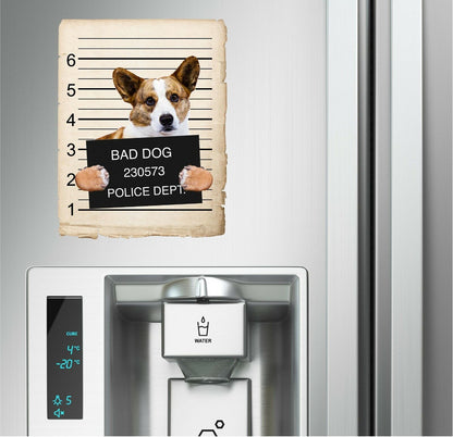 Cardigan Welsh Corgi Mugshot Bad Dog Fridge refrigerator Car Magnet