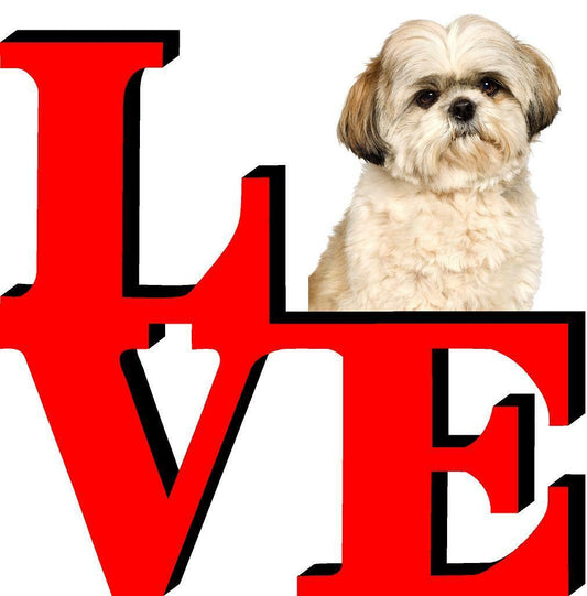 Shih Tzu Cute Dog Fridge Refrigerator Car Magnet