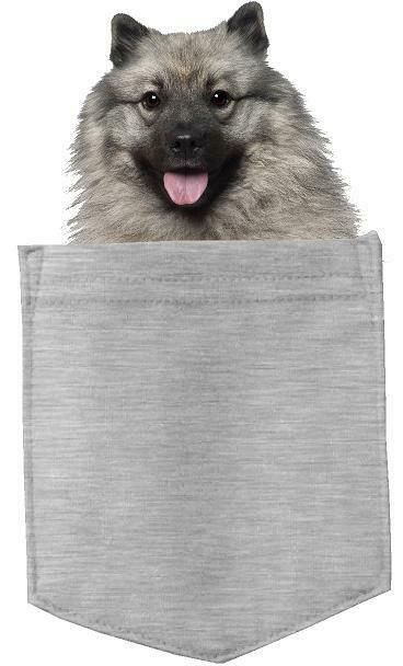 Keeshonden Dog in pocket Fridge Car Magnet Bumper Sticker App size 4"x7"