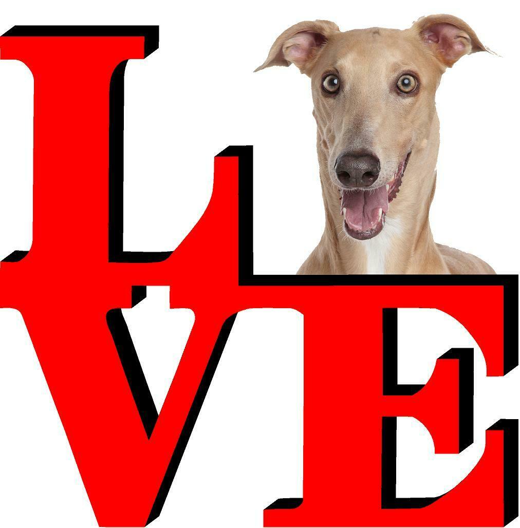Greyhound Dog Love Park Dog Fridge Refrigerator Car Magnet