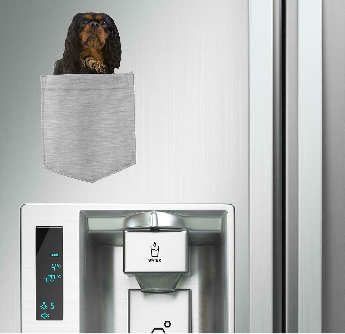 English Toy Spaniel in pocket Fridge Car Magnet Bumper Sticker App size 4"x7"