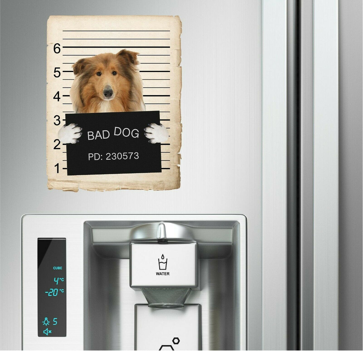 Collie Mugshot Bad Dog Fridge refrigerator Car Magnet