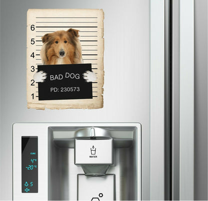Collie Mugshot Bad Dog Fridge refrigerator Car Magnet