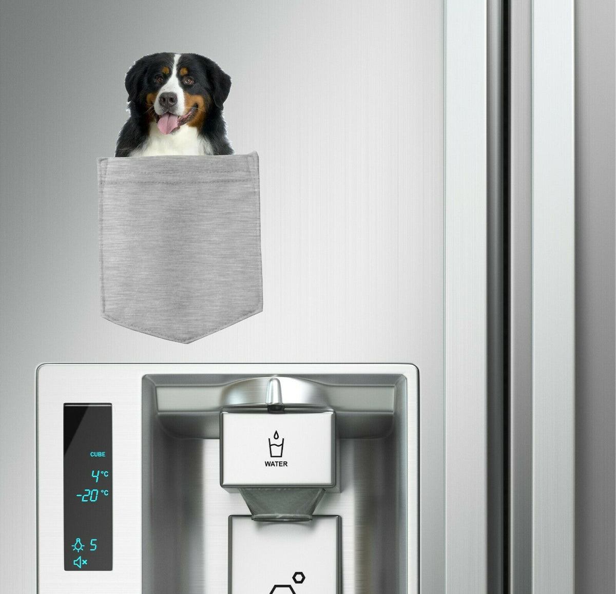 Bernese Mountain Dog in pocket Fridge Car Magnet Bumper Sticker App size 4"x7"