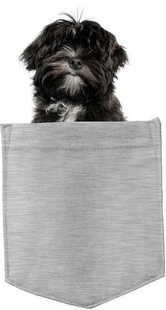 Lhasa Apso Dog in pocket Fridge Car Magnet Bumper Sticker App size 4"x7"