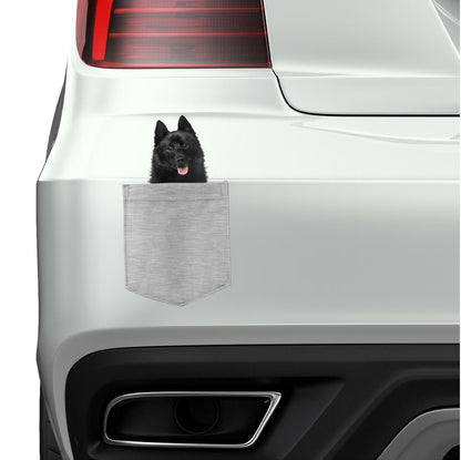 Schipperkes Dog in pocket Fridge Car Magnet Bumper Sticker App size 4"x7"