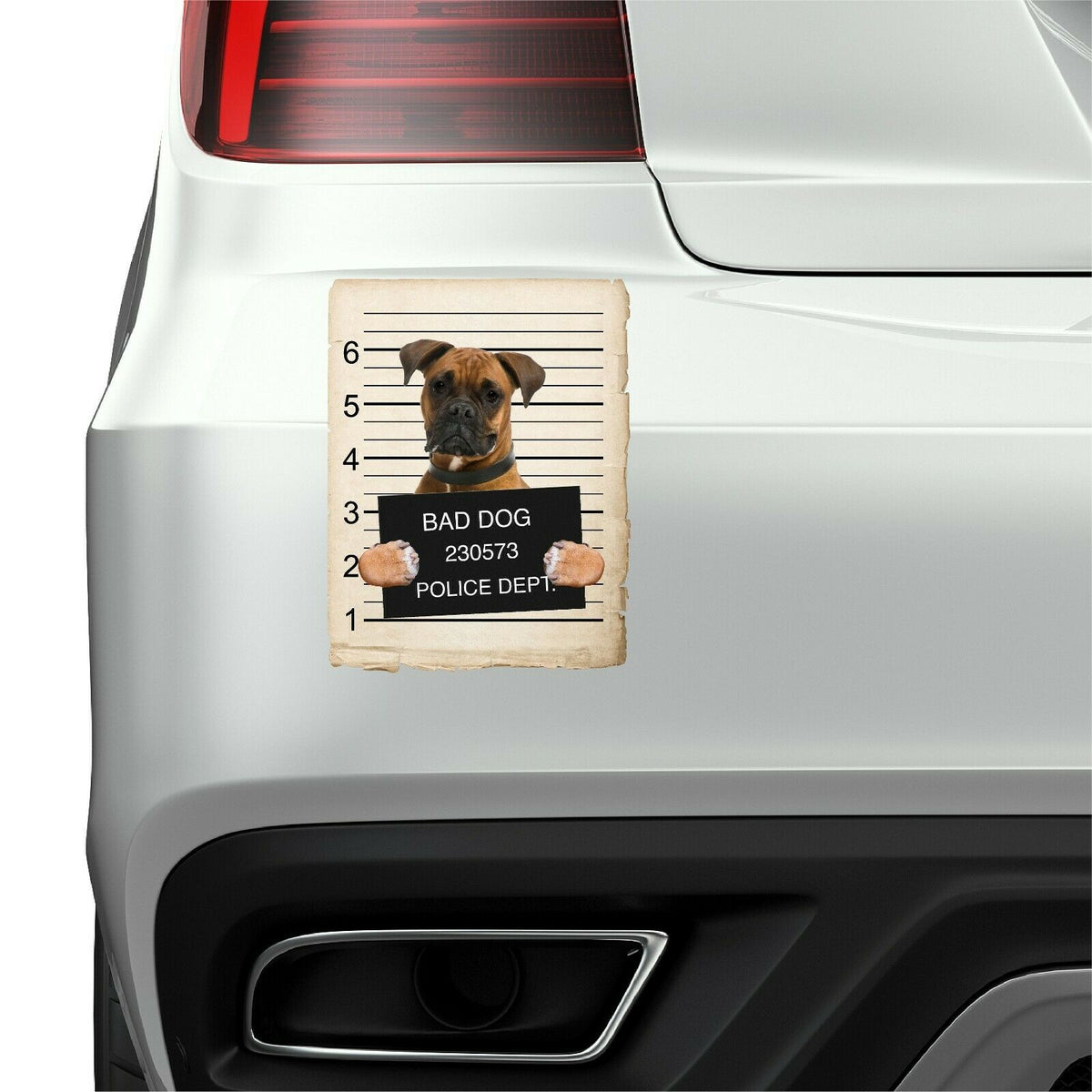 Boxer Mugshot Bad Dog Fridge refrigerator Car Magnet
