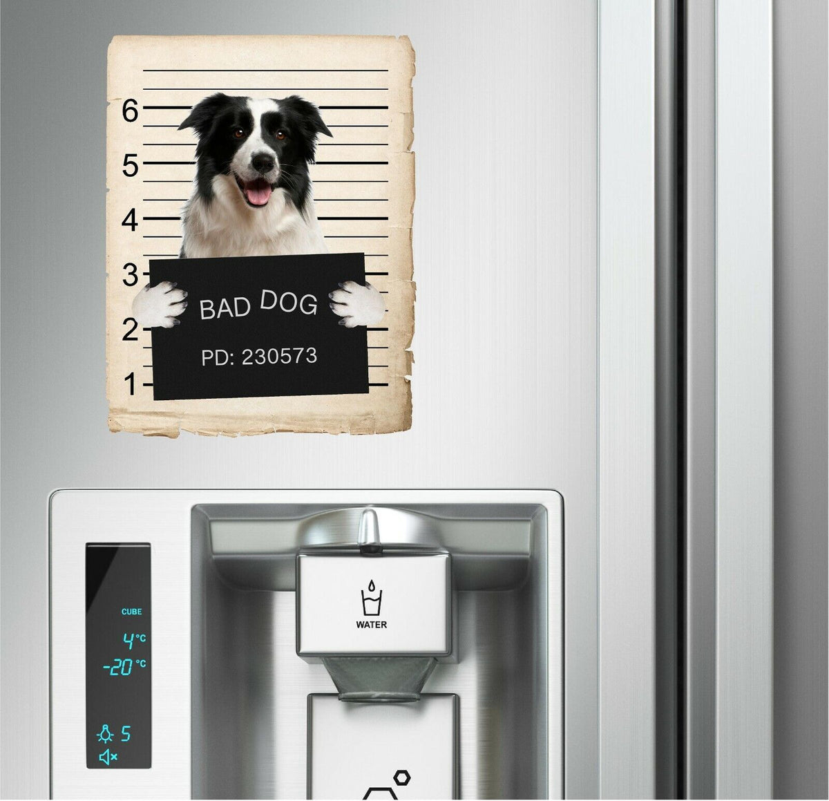 Border Collie Mugshot Bad Dog Fridge refrigerator Car Magnet