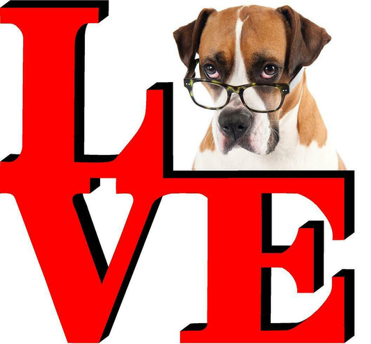 Boxer with Glasses Dog Love Park Cute Dog Fridge Refrigerator Car Magnet
