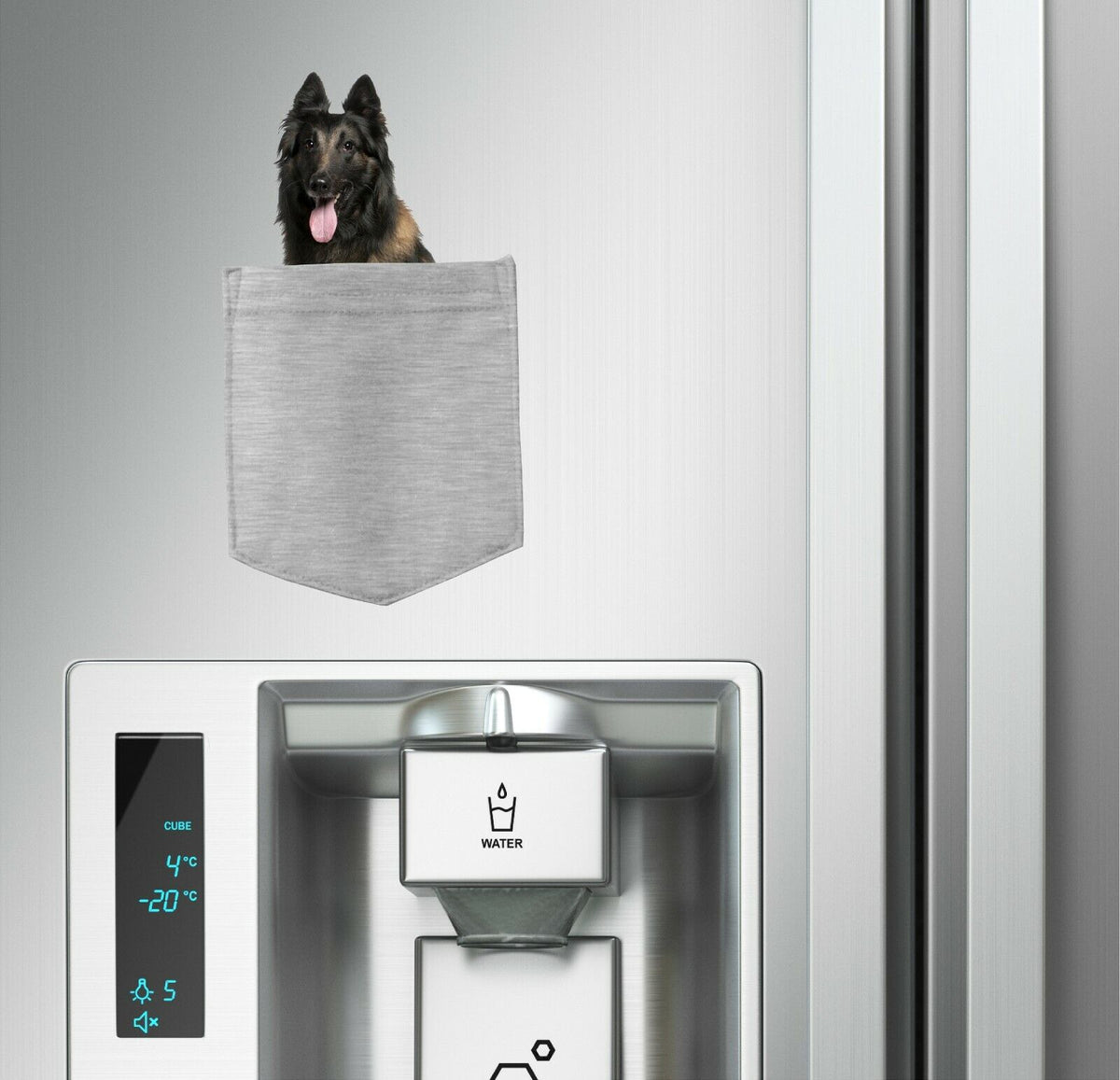 Belgian Tervuren Dog in pocket Fridge Car Magnet Bumper Sticker App size 4"x7"