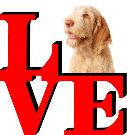 Spinone Italiano Cute Dog Fridge Refrigerator Car Magnet