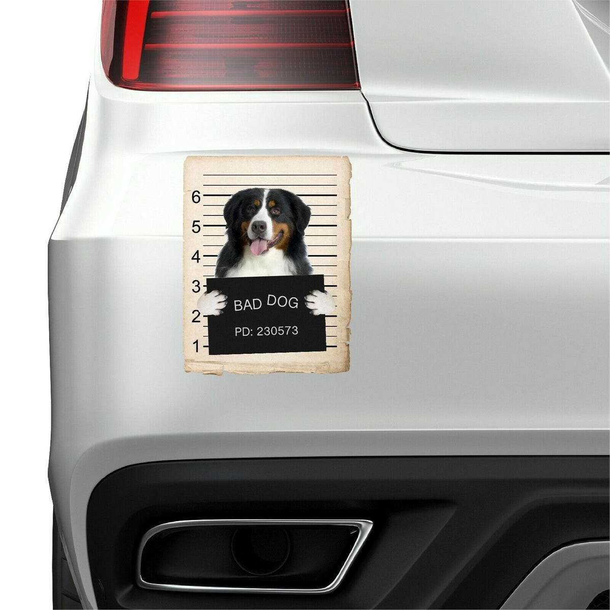 Bernese Mountain Dog Mugshot Bad Dog Fridge refrigerator Car Magnet