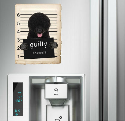 Portuguese Water Dog Mugshot Bad Dog Fridge refrigerator Car Magnet