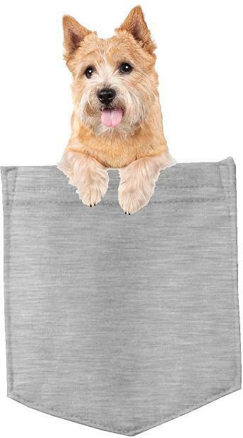 Norwich Terrier Dog in pocket Fridge Car Magnet Bumper Sticker App size 4"x7"
