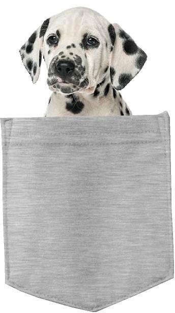 Dalmatian Dog in pocket Fridge Car Magnet Bumper Sticker App size 4"x7"