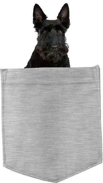 Scottish Terrier Dog in pocket Fridge Car Magnet Bumper Sticker App size 4"x7"